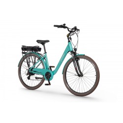 EcoBike Traffic Mint