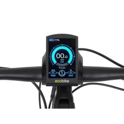 Display LCD C900 EcoBike