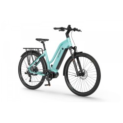 EcoBike LX 500 Mint 19"