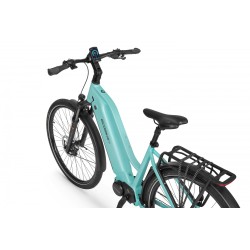 EcoBike LX 500 Mint 19"