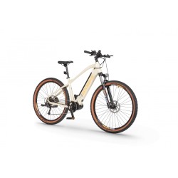 EcoBike SX 300 Sandstorm