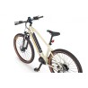 EcoBike SX 300 Sandstorm