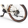 EcoBike SX 300 Sandstorm