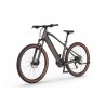 EcoBike SX 300 Copper Black