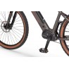 EcoBike SX 300 Copper Black