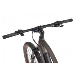 EcoBike SX 300 Copper Black