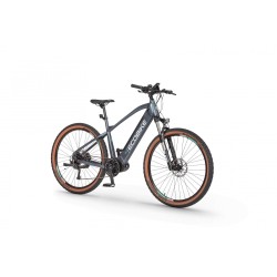 EcoBike SX 300 Cool Gray