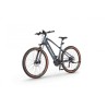 EcoBike SX 300 Cool Gray