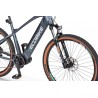 EcoBike SX 300 Cool Gray