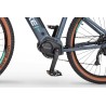 EcoBike SX 300 Cool Gray