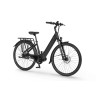 EcoBike LX