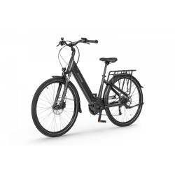 EcoBike LX 100 Black