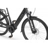 EcoBike LX 100 Black