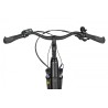 EcoBike LX 100 Black