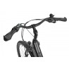 EcoBike LX 100 Black