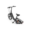 Ecobike Rhino Black