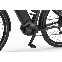 Ecobike LX 500 Graphite