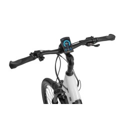EcoBike LX 300 White
