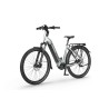 Ecobike LX 400