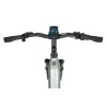 Ecobike LX 400