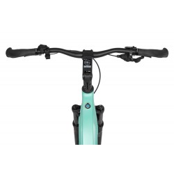 EcoBike LX 500 Mint