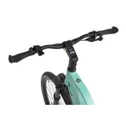 EcoBike LX 500 Mint