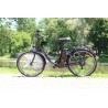 Sigma Bike Low Step 26