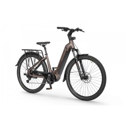 Ecobike LX 300 Onyx