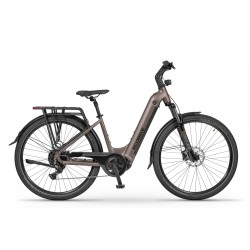 Ecobike LX 300 Onyx