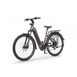 Ecobike LX 300 Onyx