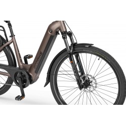 Ecobike LX 300 Onyx