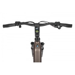 Ecobike LX 300 Onyx