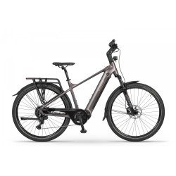 Ecobike MX 300 Golden Grey