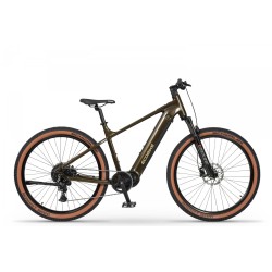 Ecobike SX 300 Green