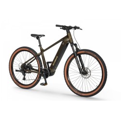 Ecobike SX 300 Green