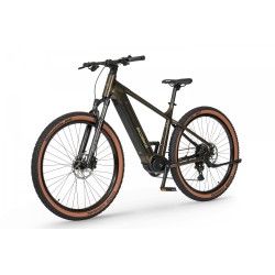 Ecobike SX 300 Green