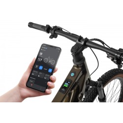 Ecobike SX 300 Green