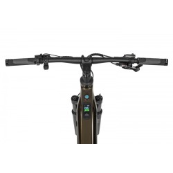 Ecobike SX 300 Green