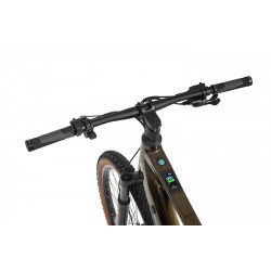 Ecobike SX 300 Green