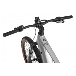 Ecobike Core Arctic Fade