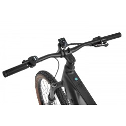 Ecobike Core Moonstone