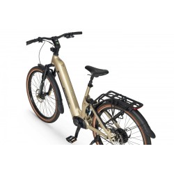 Ecobike Flex Titan