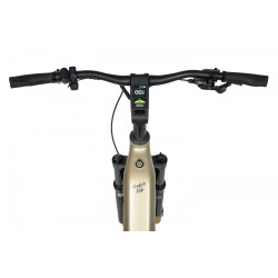 Ecobike Flex Titan