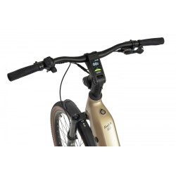 Ecobike Flex Titan