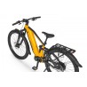 Ecobike RX 500 MAX Yellow SUV