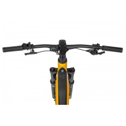 Ecobike RX 500 MAX Yellow SUV
