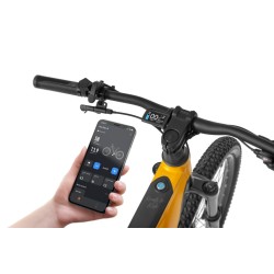 Ecobike RX 500 MAX Yellow