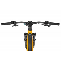 Ecobike RX 500 MAX Yellow