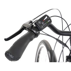 Display LED 36V EcoBike 6km/h