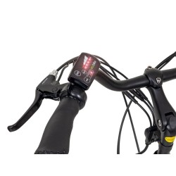 Display LED 36V EcoBike 6km/h